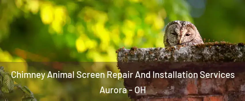  Chimney Animal Screen Repair And Installation Services Aurora - OH