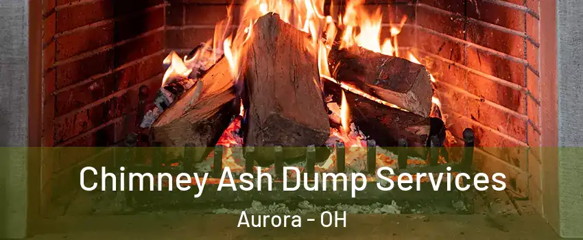  Chimney Ash Dump Services Aurora - OH