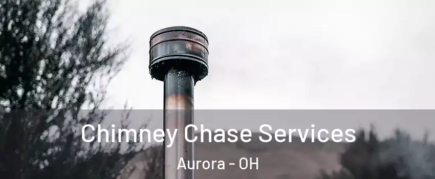  Chimney Chase Services Aurora - OH