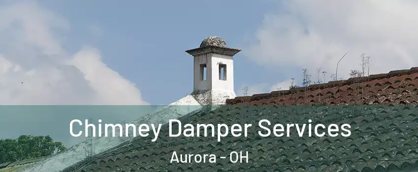  Chimney Damper Services Aurora - OH