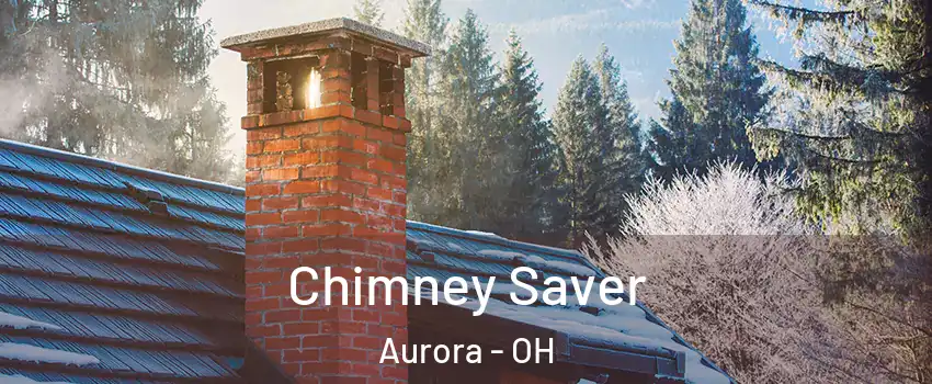  Chimney Saver Aurora - OH