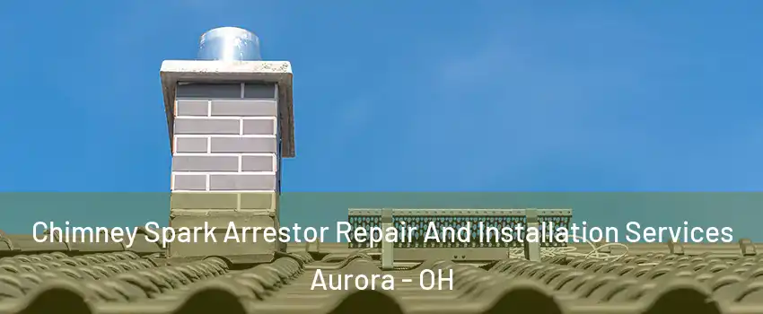  Chimney Spark Arrestor Repair And Installation Services Aurora - OH
