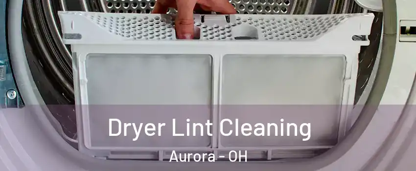  Dryer Lint Cleaning Aurora - OH