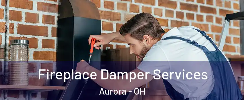  Fireplace Damper Services Aurora - OH