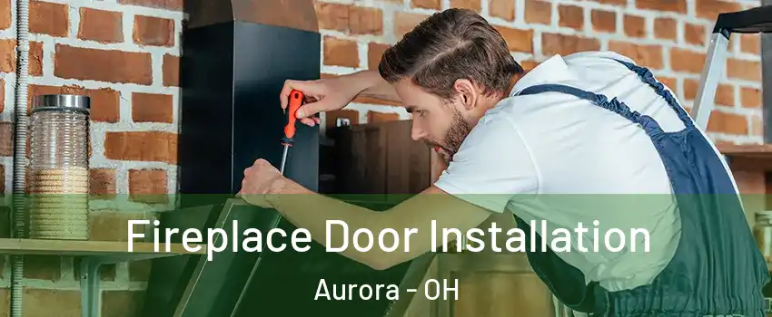  Fireplace Door Installation Aurora - OH