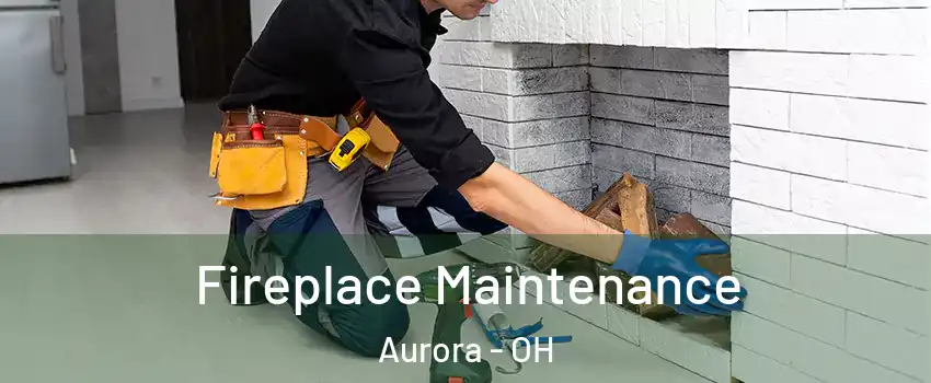  Fireplace Maintenance Aurora - OH