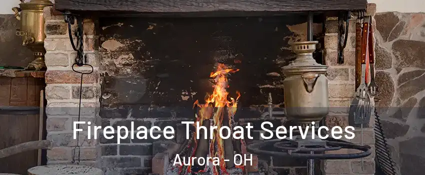  Fireplace Throat Services Aurora - OH