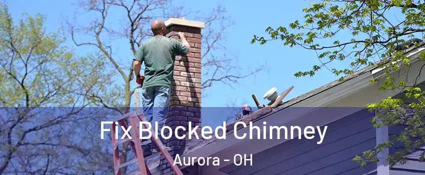  Fix Blocked Chimney Aurora - OH