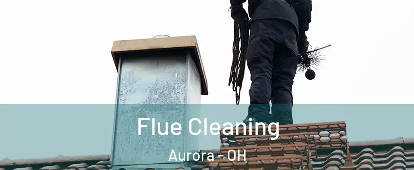  Flue Cleaning Aurora - OH