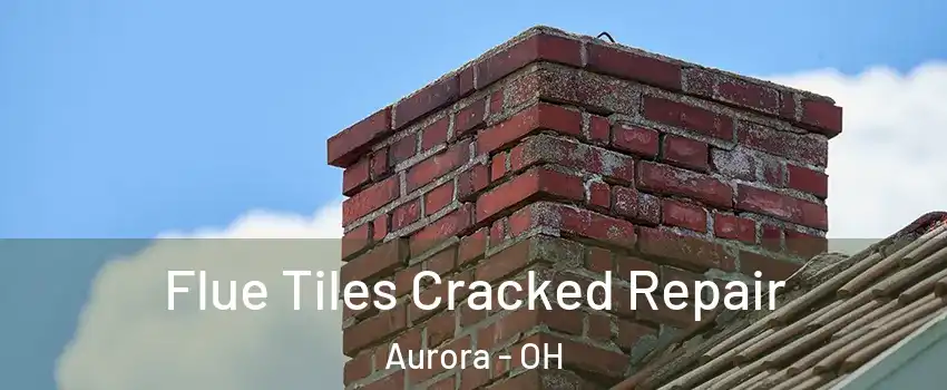  Flue Tiles Cracked Repair Aurora - OH