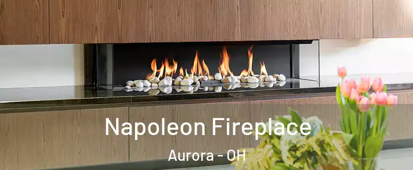  Napoleon Fireplace Aurora - OH