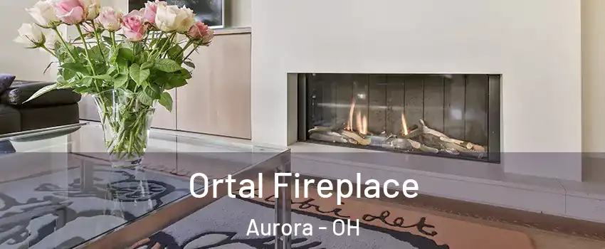  Ortal Fireplace Aurora - OH